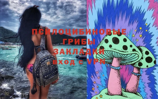 MESCALINE Няндома