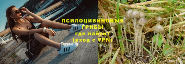 MESCALINE Няндома