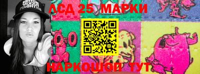 СК Дубна