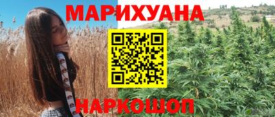 СК Дубна