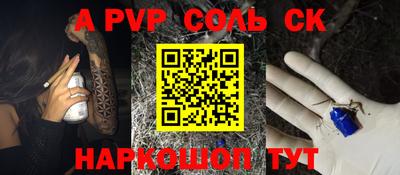 СК Дубна