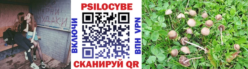 Псилоцибиновые грибы мицелий где продают Кунгур