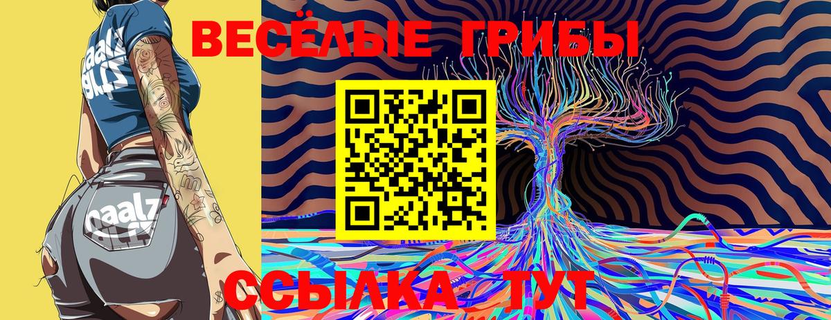 Псилоцибиновые грибы ЛСД Кунгур