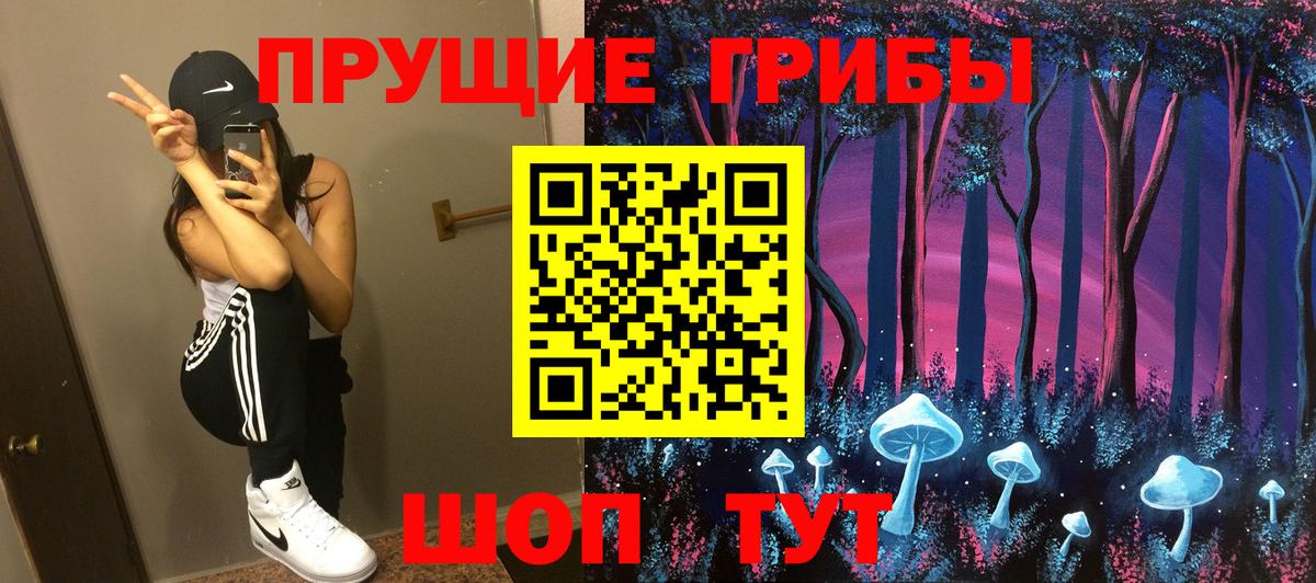 Галлюциногенные грибы ЛСД  как найти   Кунгур  Псилоцибиновые грибы MAGIC MUSHROOMS  Вход с VPN 