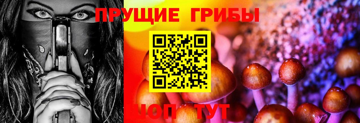 Псилоцибиновые грибы MAGIC MUSHROOMS  Псилоцибиновые грибы Cubensis  Кунгур 